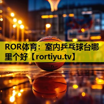 室内乒乓球台哪里个好