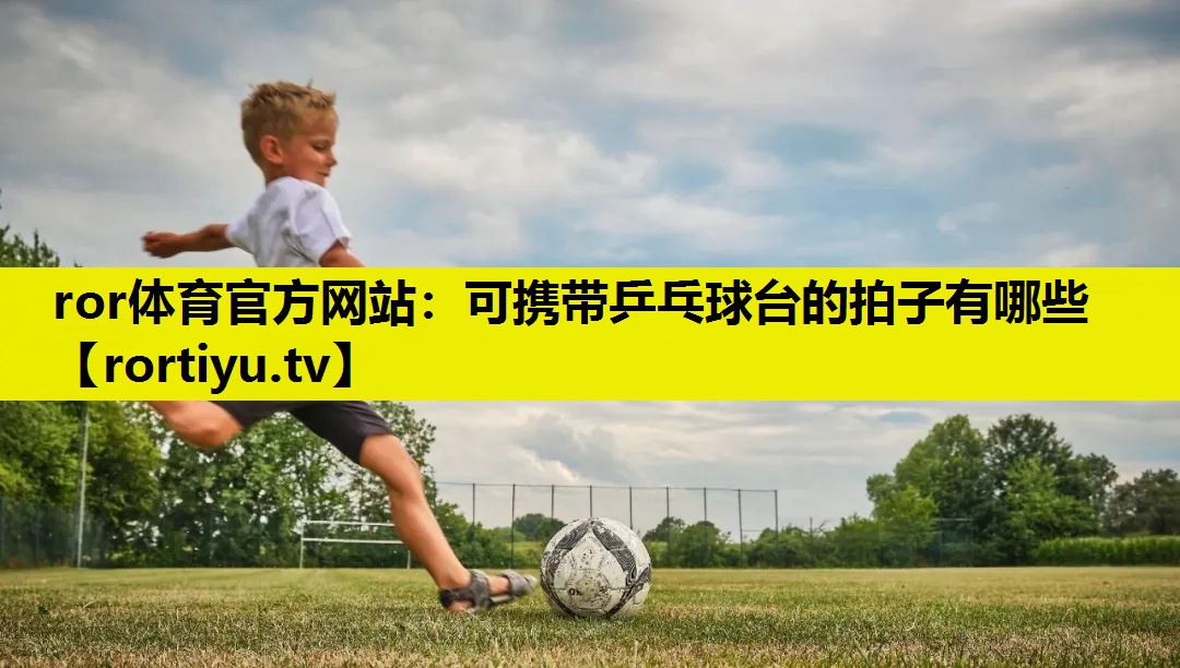 可携带乒乓球台的拍子有哪些