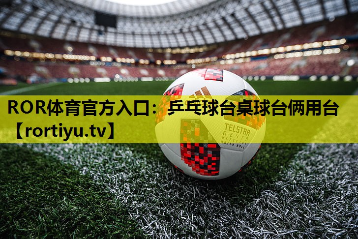 乒乓球台桌球台俩用台