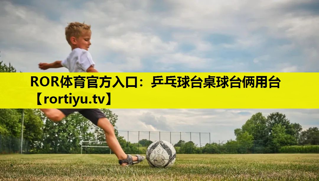 乒乓球台桌球台俩用台